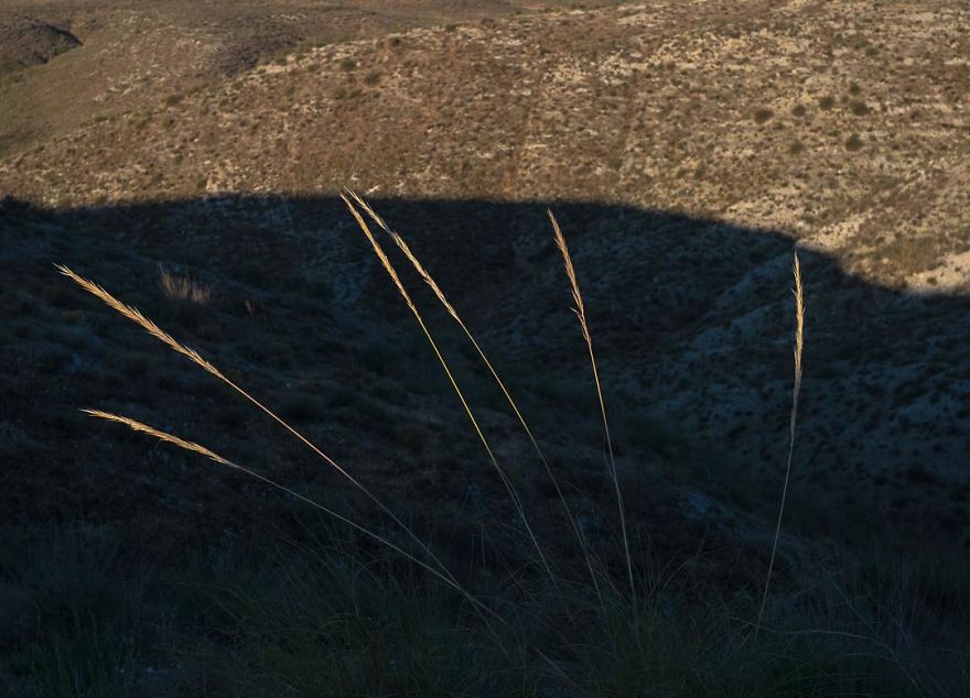 The-Coincidence-Project-Denis-Cherim-Photography