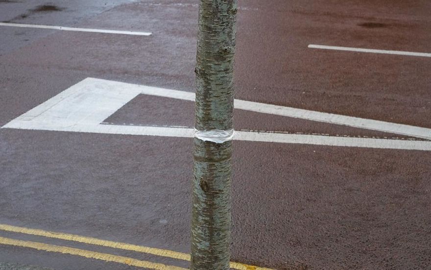 The-Coincidence-Project-Denis-Cherim-Photography