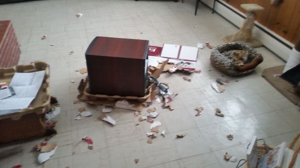 Don't Leave Me Alone Again