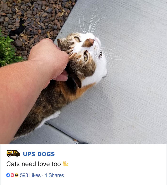 ups-dogs-facebook-group-drivers-meet-routes-sean-mccarren-012