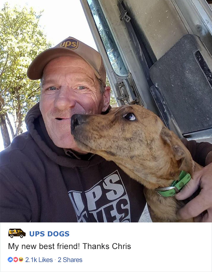 ups-dogs-facebook-group-drivers-meet-routes-sean-mccarren-06