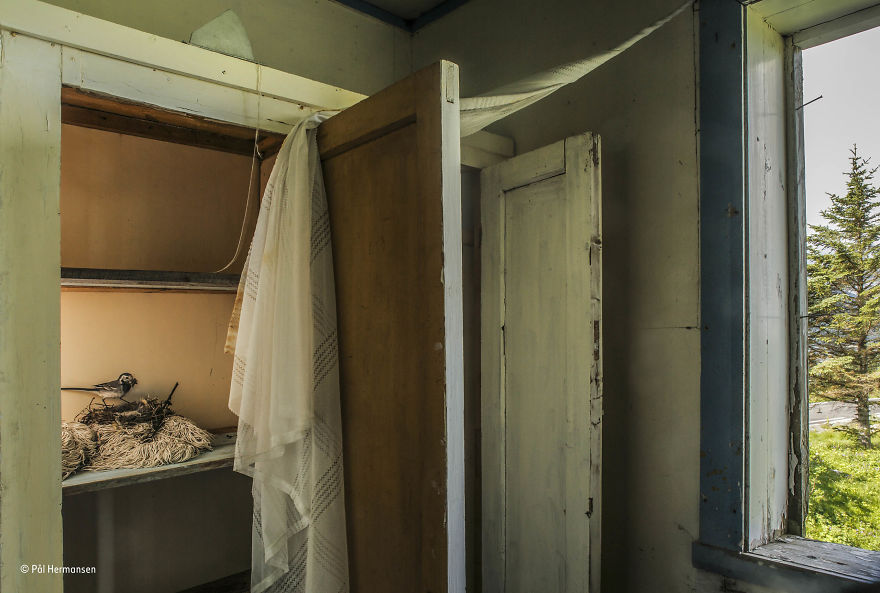 'Shelf Life' By Pål Hermansen, Norway, Urban Wildlife Finalist