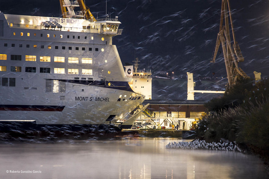 'Bay Of Egrets' By Roberto González García, Spain, Urban Wildlife Finalist