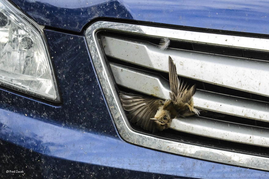 'When Worlds Collide' By Fred Zacek, Estonia, 10 Years And Under Finalist