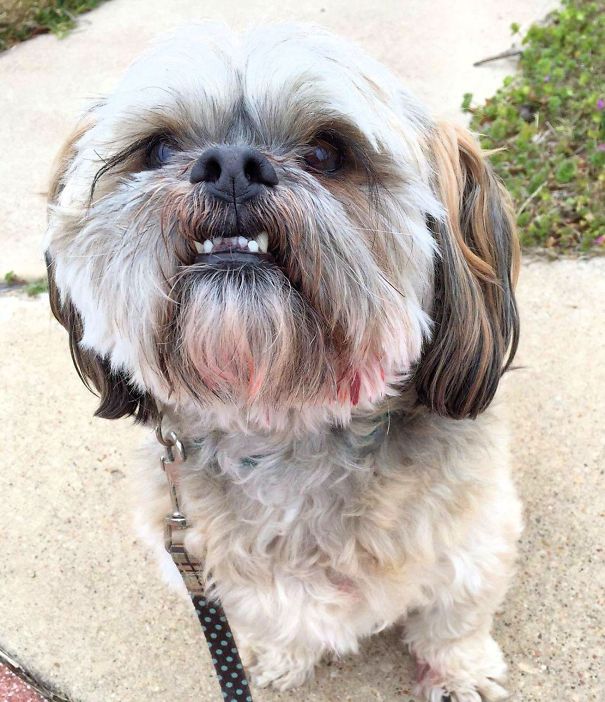 Why No, I Know Nothing About Your Missing Lip Gloss.