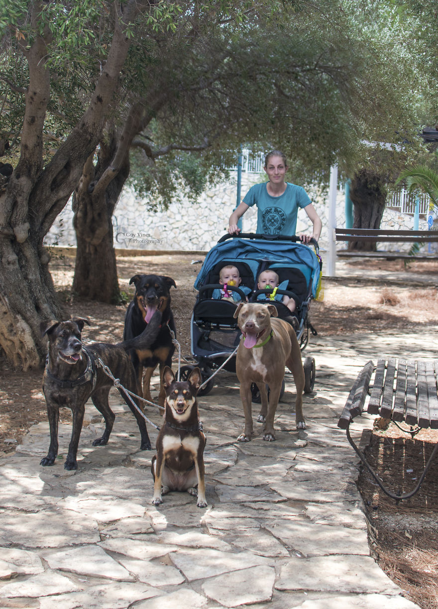 When Mom Is Lazy She Can Get Help From The Family Dogs
