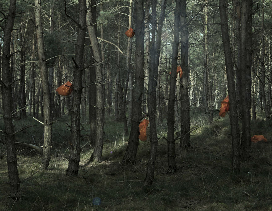 By Creating These Series I Hope To Inspire And Motivate People To Think About The Pollution By Creating These Series I Hope To Inspire And Motivate People To Think About The Pollution