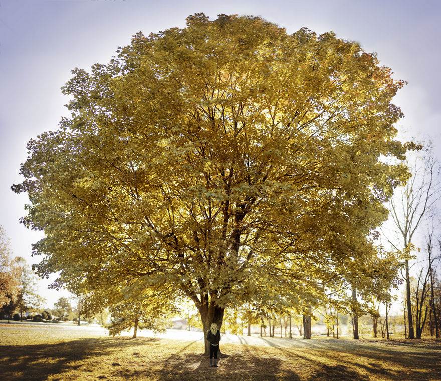 35+ Fall Photos That Will Make You Want To Become A Photographer