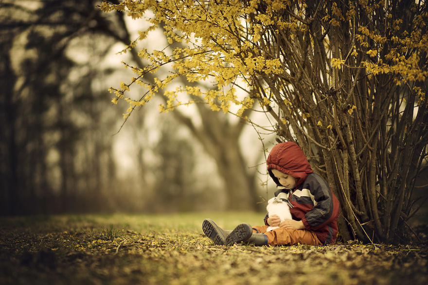 35+ Fall Photos That Will Make You Want To Become A Photographer 35+ Fall Photos That Will Make You Want To Become A Photographer