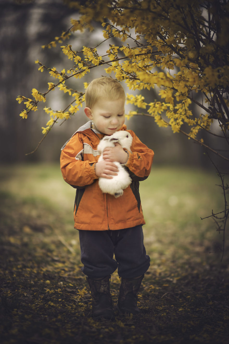 35+ Fall Photos That Will Make You Want To Become A Photographer 35+ Fall Photos That Will Make You Want To Become A Photographer