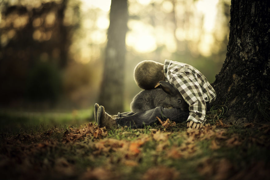 35+ Fall Photos That Will Make You Want To Become A Photographer