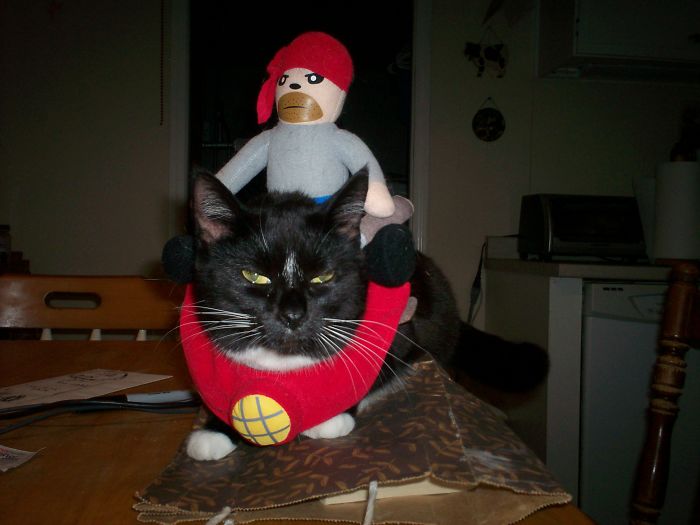 Black cat wearing a red costume with a doll on its back, showcasing funny pet names people now call their pets.