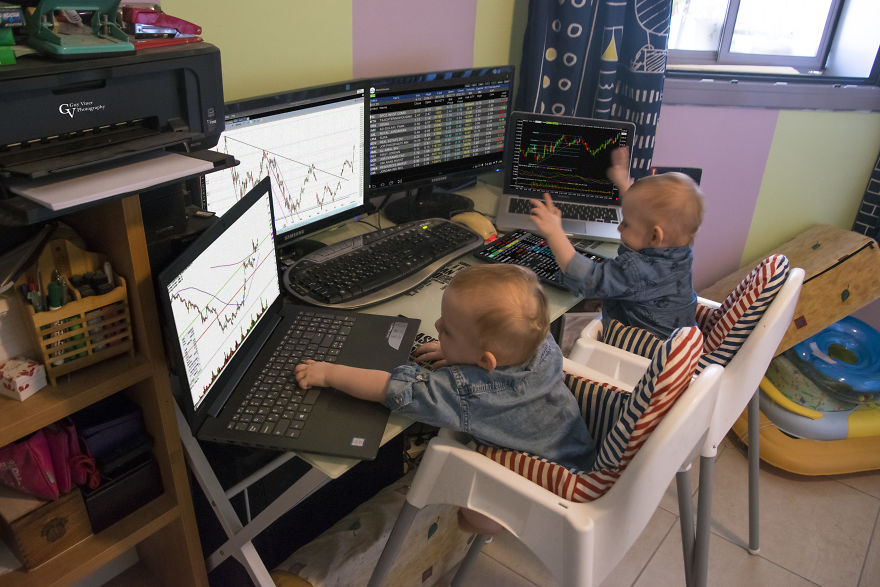 I Showed Them The Movie "The Wolf Of Wall Street", The Next Day I Found Them Like This