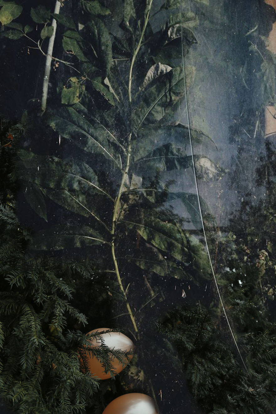 By Creating These Series I Hope To Inspire And Motivate People To Think About The Pollution By Creating These Series I Hope To Inspire And Motivate People To Think About The Pollution