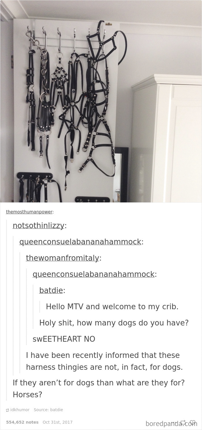 Funny-Examples-Innocent-Minds