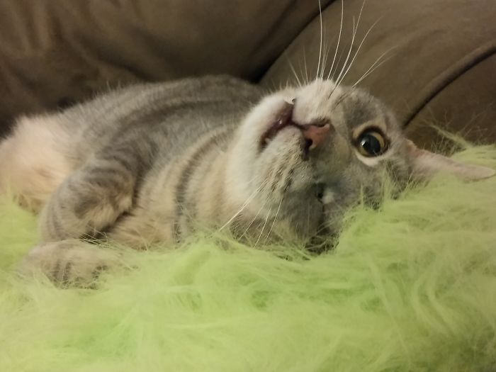 Mister.... Our One Eyed Wonder.