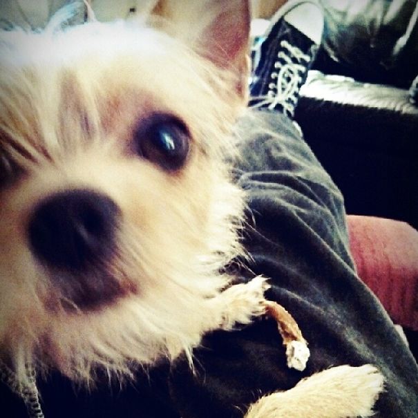 When The Best Things In Life Are Free