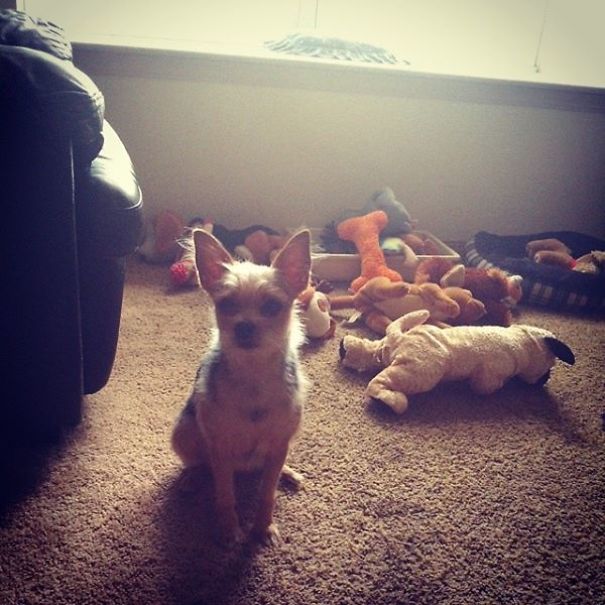 When The Best Things In Life Are Free