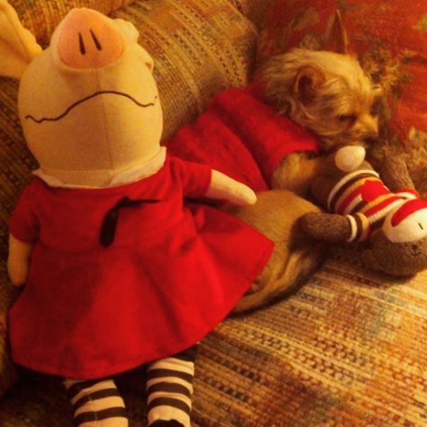 When The Best Things In Life Are Free