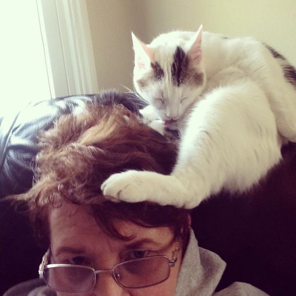 Grandma Just Sent This To Me. Like Her New Hairdo?