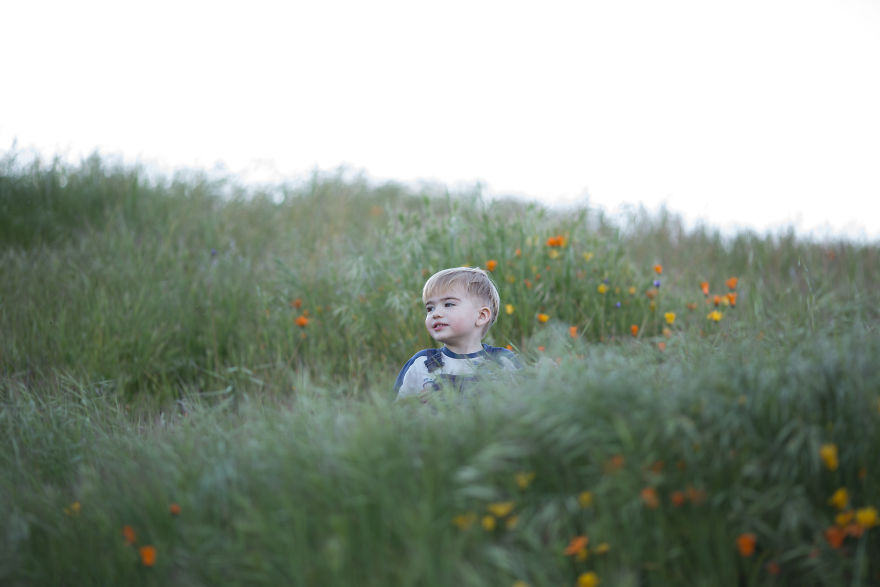 Photographer Uses Butterflies To Create A New Mini Photo Series Out Of Old "Unusable" Images