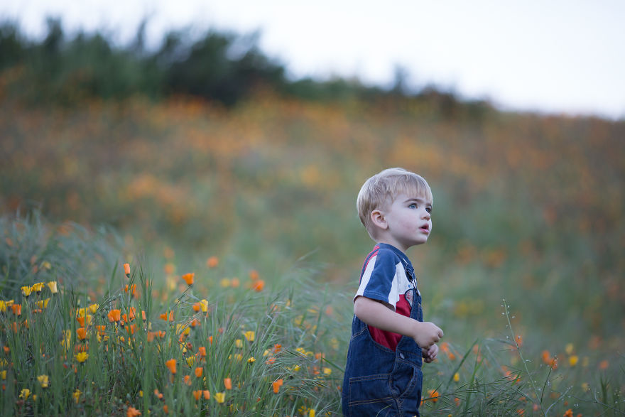 Photographer Uses Butterflies To Create A New Mini Photo Series Out Of Old "Unusable" Images Photographer Uses Butterflies To Create A New Mini Photo Series Out Of Old "Unusable" Images