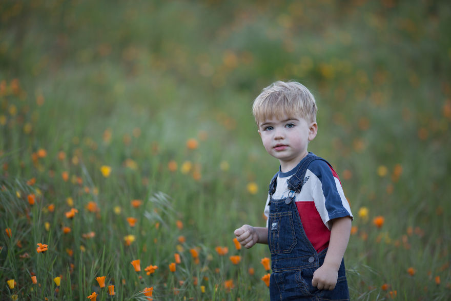 Photographer Uses Butterflies To Create A New Mini Photo Series Out Of Old "Unusable" Images Photographer Uses Butterflies To Create A New Mini Photo Series Out Of Old "Unusable" Images