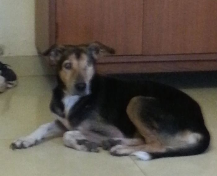 Zen...my Soulmate Who Lost His Eye Sight To Glaucoma...