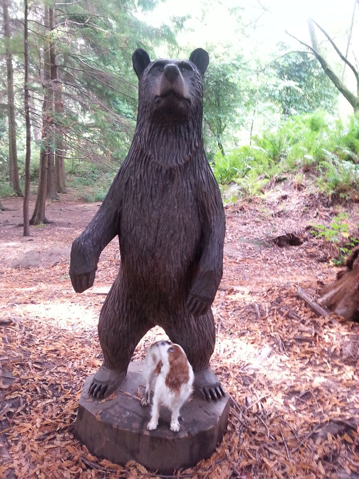 Tuppy, Rescued From A Home Where He Was Constantly Ignored, Now Happy And Fussed Constantly. His Eyes Do Make Him Look Like Ed From The Lion King Though