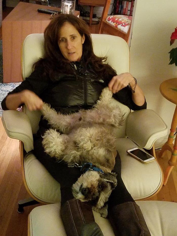 Woman relaxing in a chair with her dog lying on her lap, showcasing funny pet names people now call their pets.