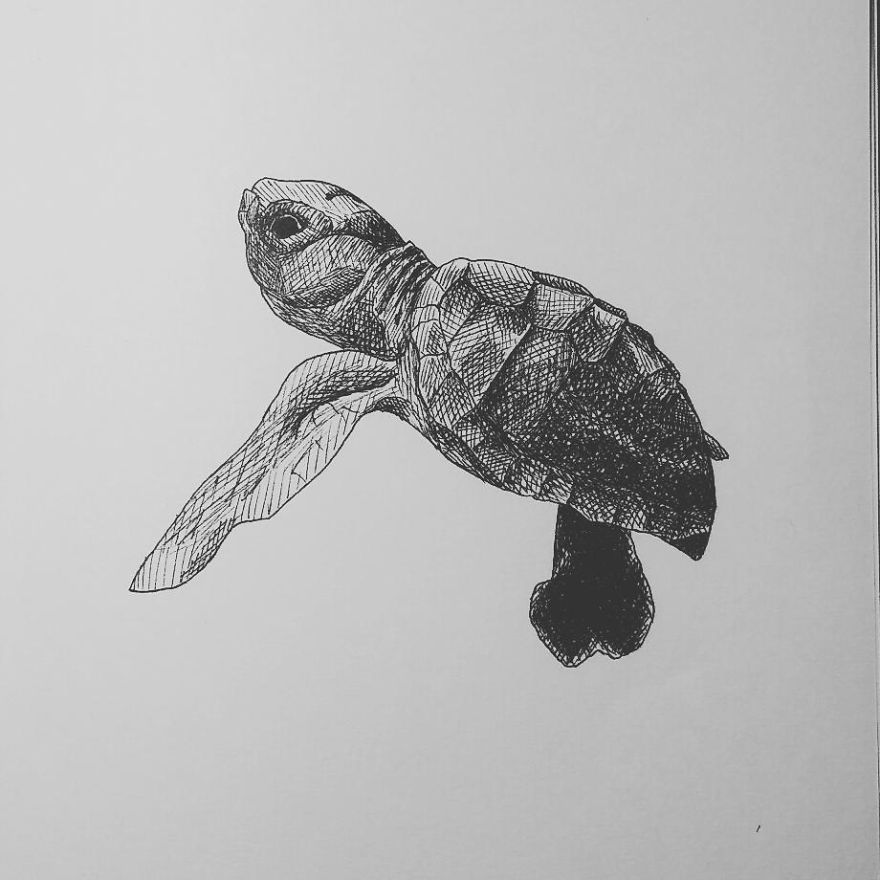 My Inktober 2017 - Animals My Inktober 2017 - Animals