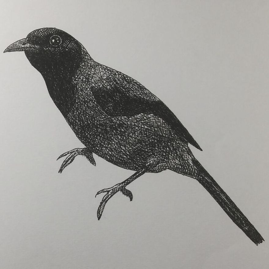 My Inktober 2017 - Animals My Inktober 2017 - Animals