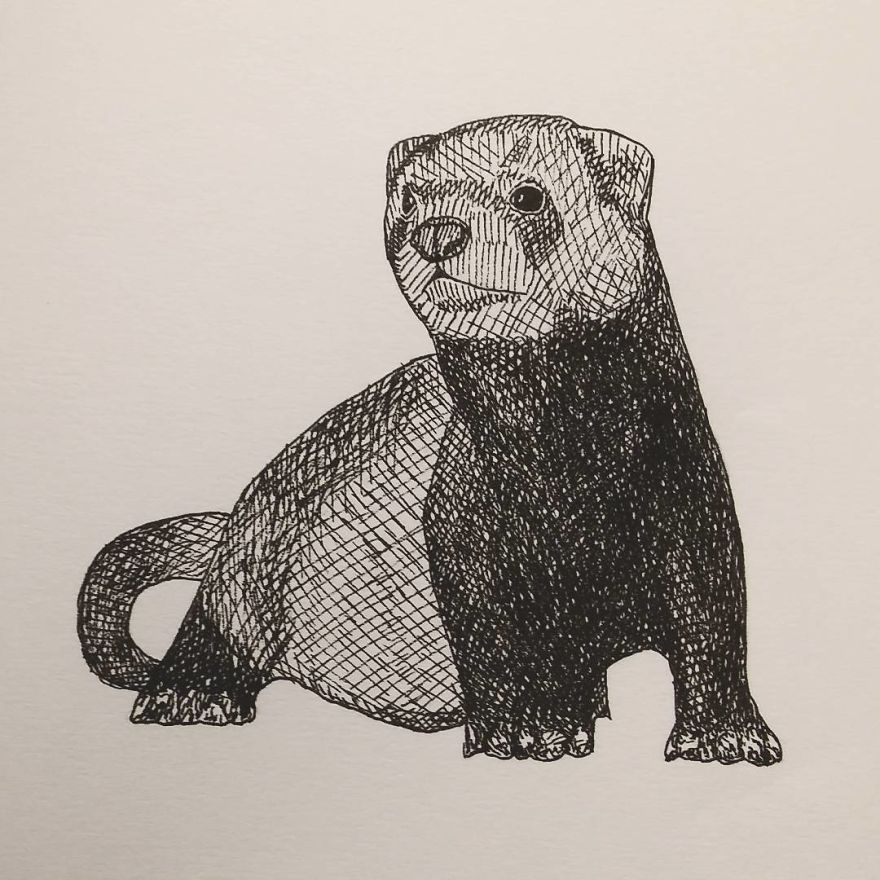 My Inktober 2017 - Animals My Inktober 2017 - Animals