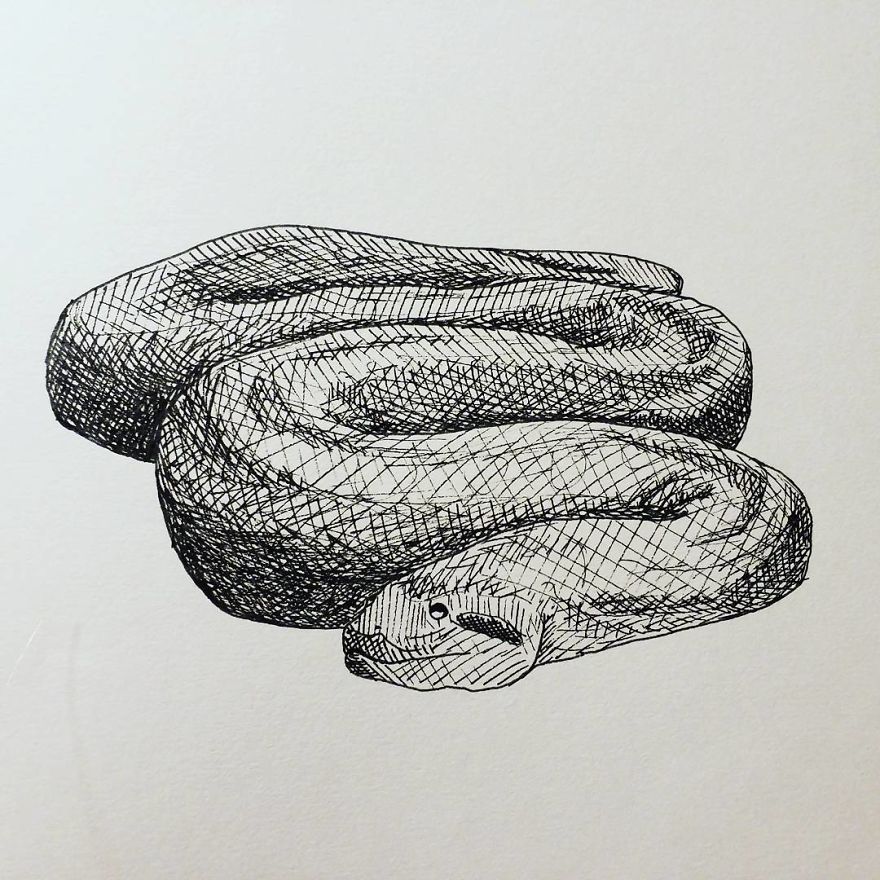 My Inktober 2017 - Animals My Inktober 2017 - Animals