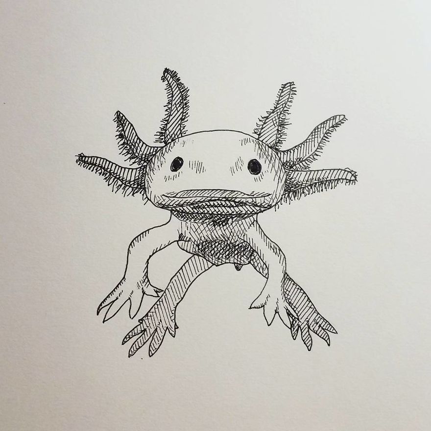 My Inktober 2017 - Animals My Inktober 2017 - Animals