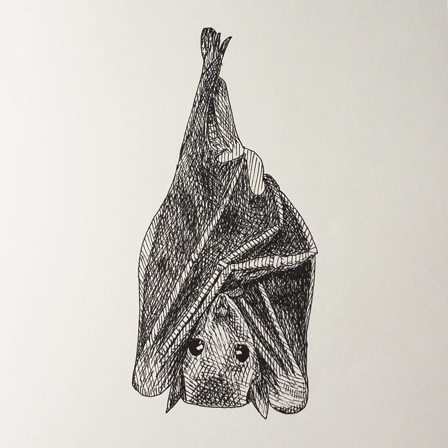 My Inktober 2017 - Animals My Inktober 2017 - Animals