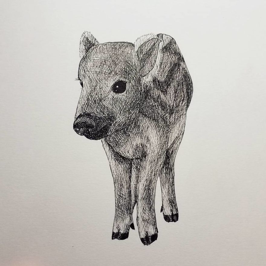My Inktober 2017 - Animals My Inktober 2017 - Animals