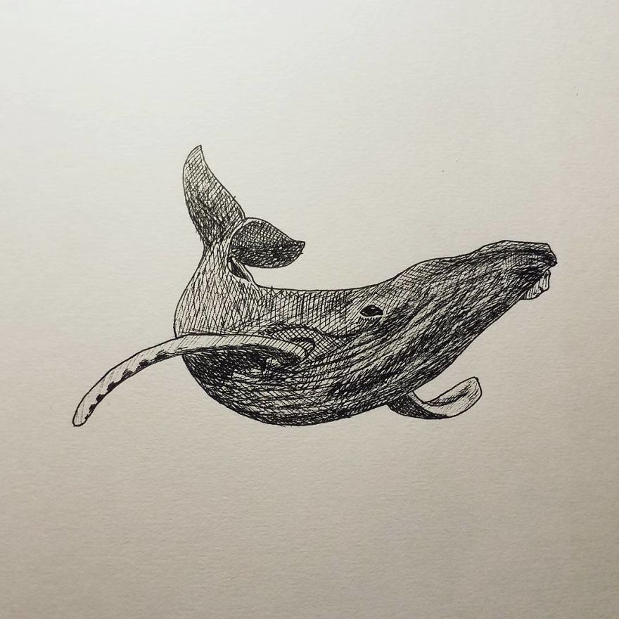 My Inktober 2017 - Animals My Inktober 2017 - Animals