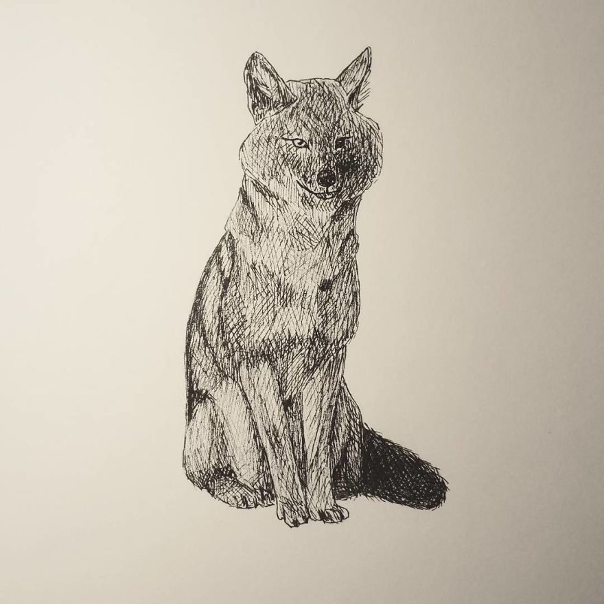 My Inktober 2017 - Animals My Inktober 2017 - Animals