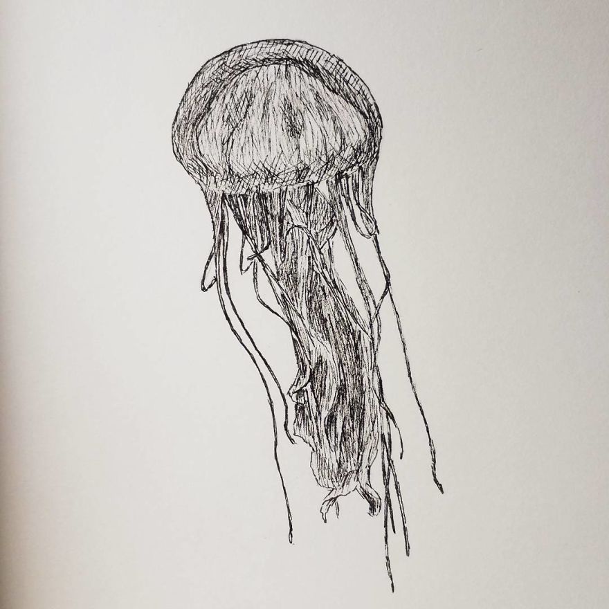 My Inktober 2017 - Animals