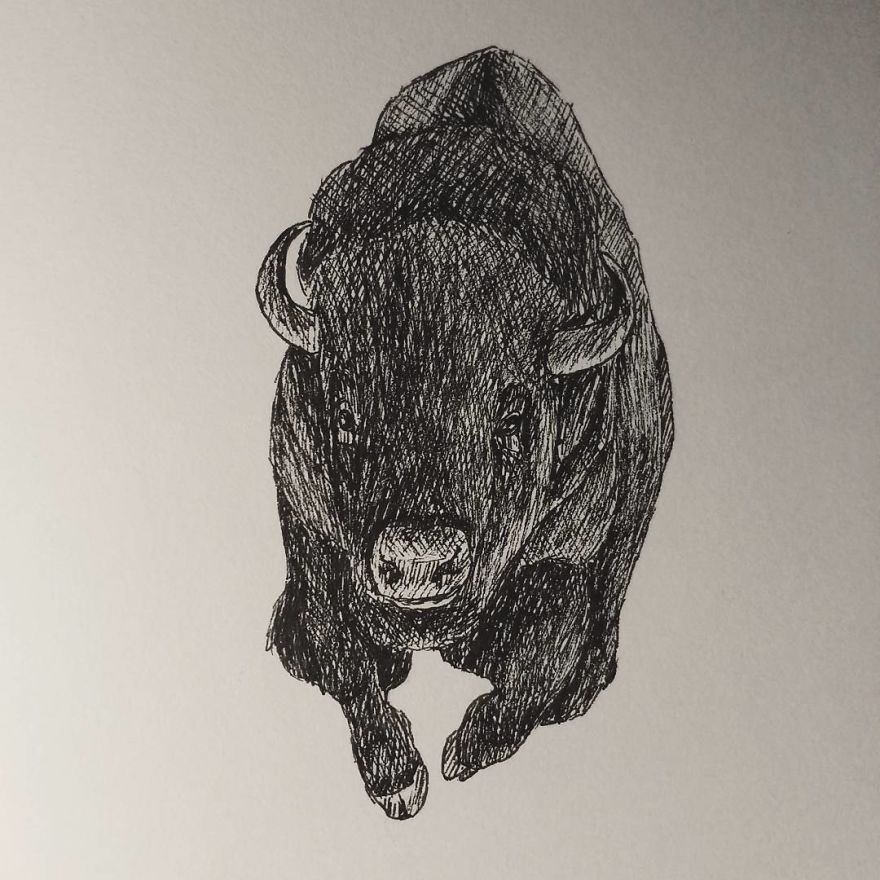 My Inktober 2017 - Animals My Inktober 2017 - Animals