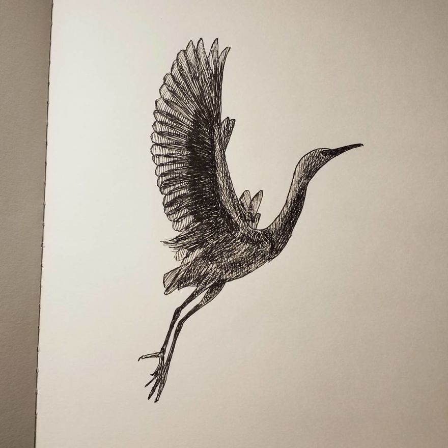 My Inktober 2017 - Animals