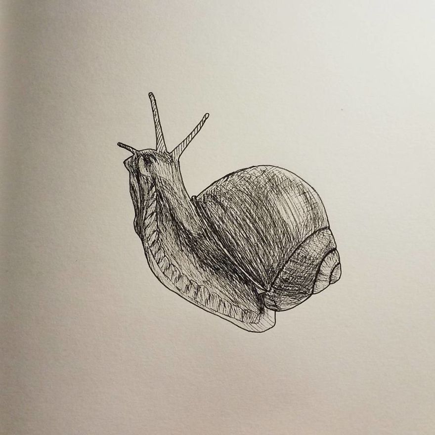 My Inktober 2017 - Animals My Inktober 2017 - Animals