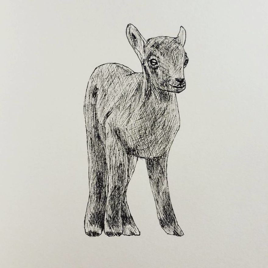 My Inktober 2017 - Animals My Inktober 2017 - Animals