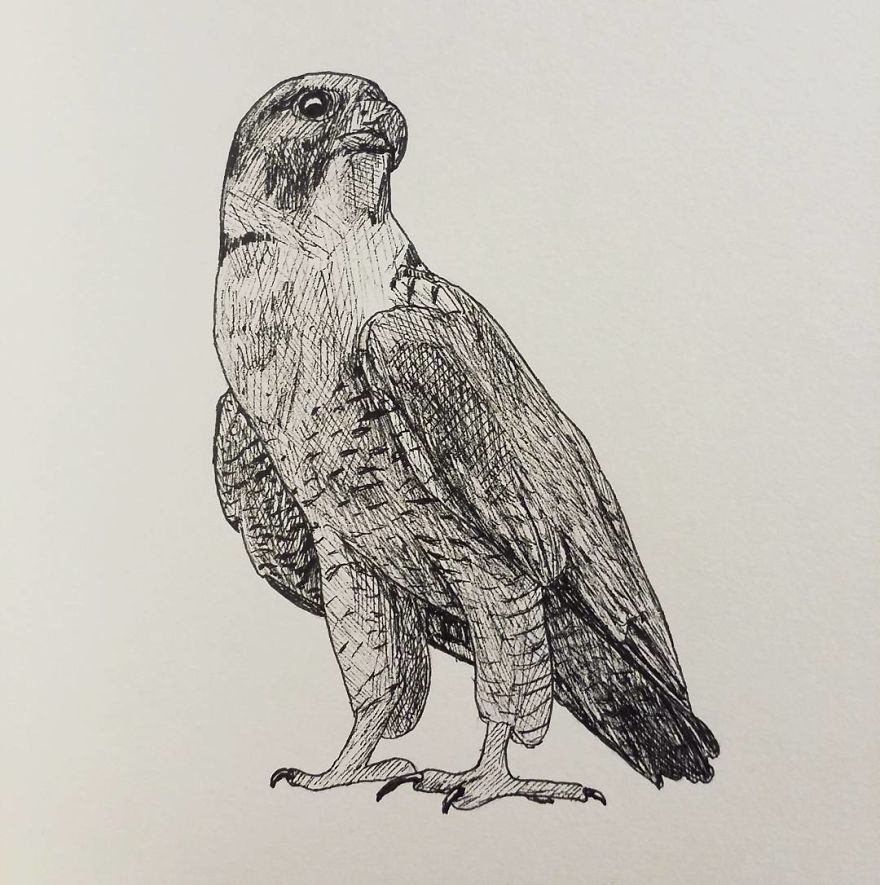 My Inktober 2017 - Animals