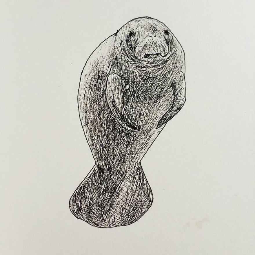 My Inktober 2017 - Animals