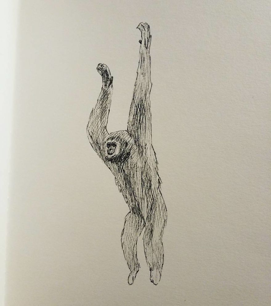 My Inktober 2017 - Animals My Inktober 2017 - Animals