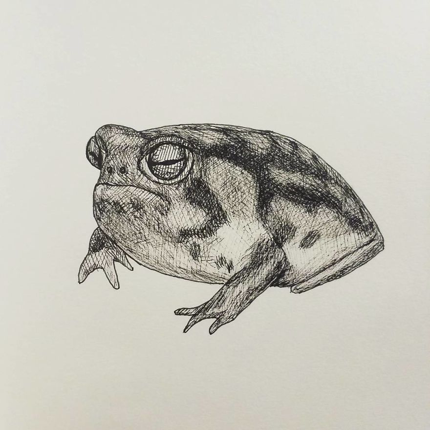 My Inktober 2017 - Animals