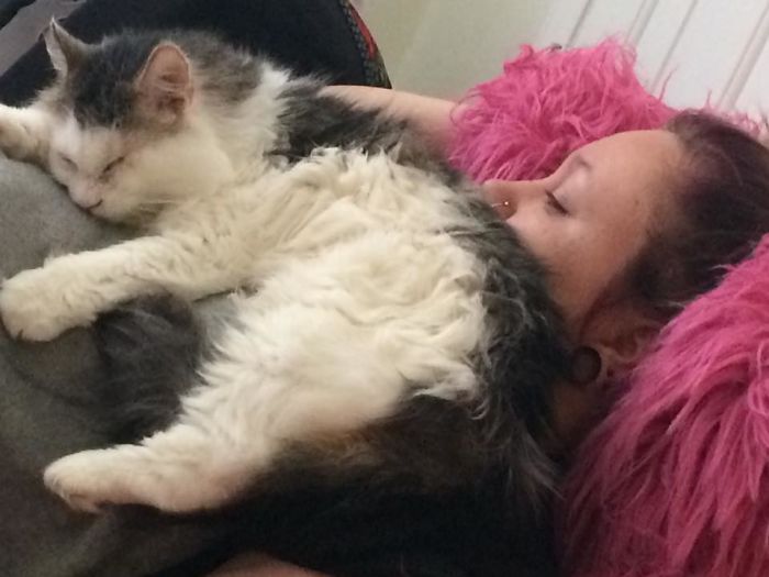 My Daughter-In-Law Adopted This Sweety. He Only Has One Eye And Is Half Blind In The Other. He Was Rescued From A Hoarding Situation. Despite Coming From A Home Where Many Dead Cats Were Found, He Loves Nothing More Than A Good Cuddle.