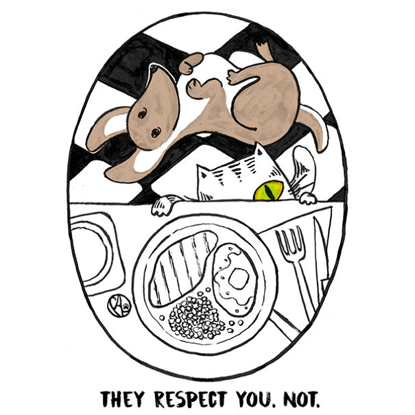 I Draw My Daily Life With 3 Cats And A Dog And Everyone Can Relate (+40 New Inks!)